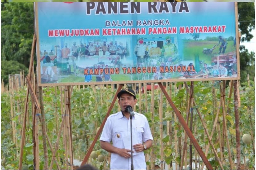 Panen Melon, Wawali: Setiap Kelurahan Seperti Ini