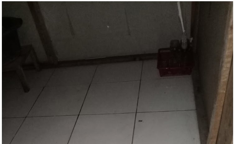 Sang Paman Pergoki Pemuda Asal Bengkulu Hendak Lakukan Pelecehan Terhadap Keponakannya