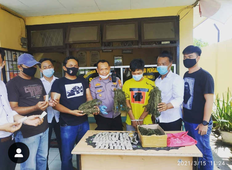 Pemuda Muara Bangkahulu Ditangkap Miliki 2 Kilogram Ganja