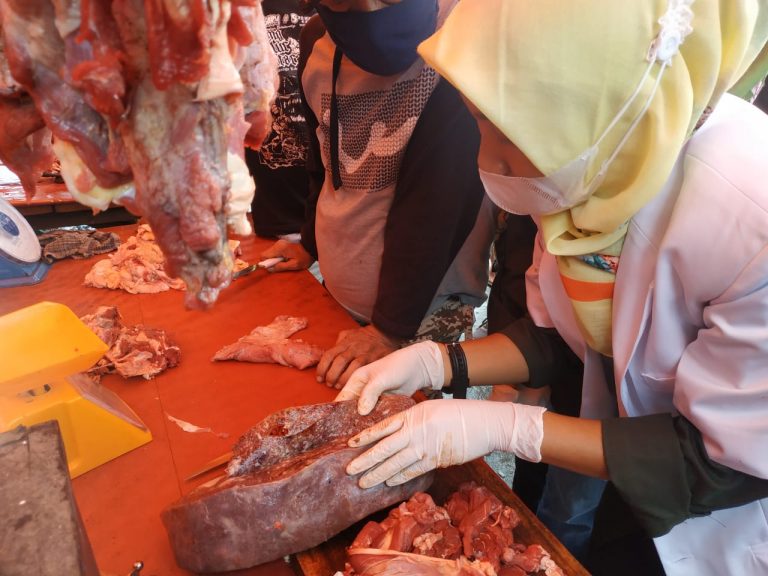 Dispangtan Kota Bengkulu Temukan Organ Hati Terinfeksi Cacing Hati