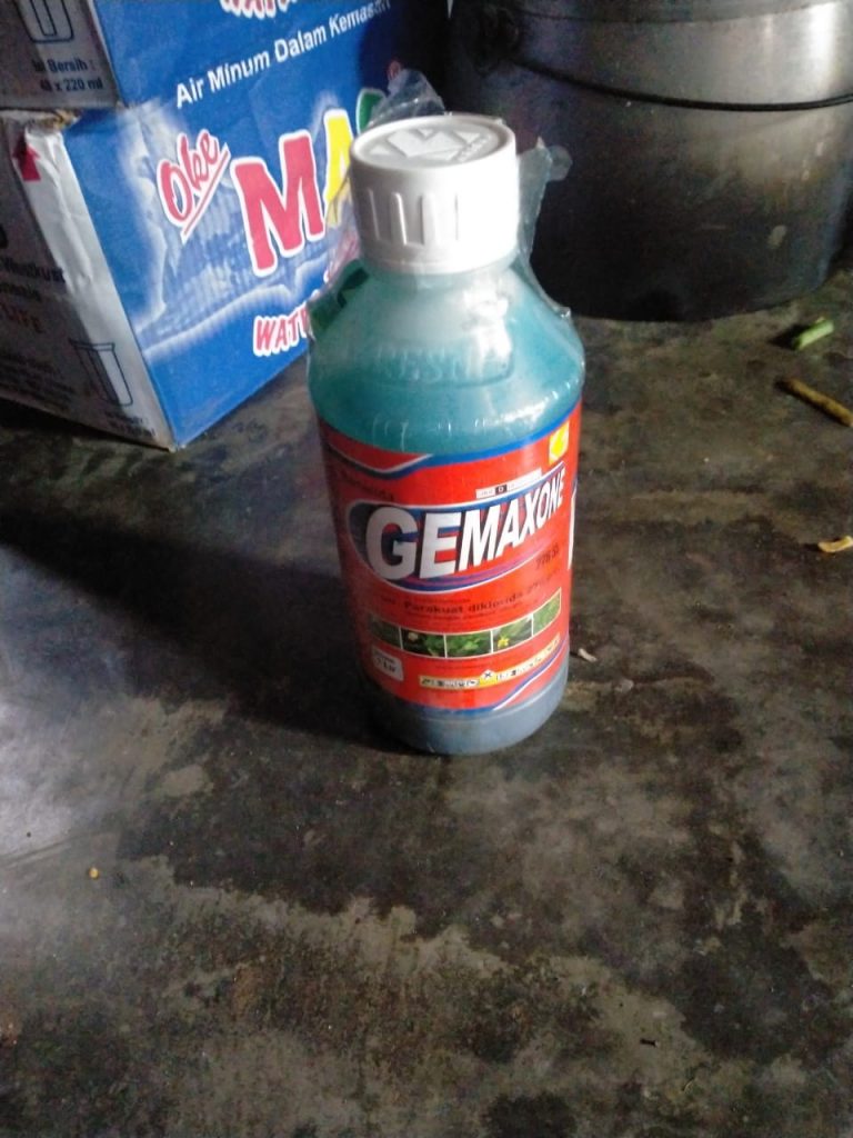 Tragis, Ibu Muda Ini Nekad Minum Racun Rumput Gara-gara  Frustasi Belum Punya Keturunan 