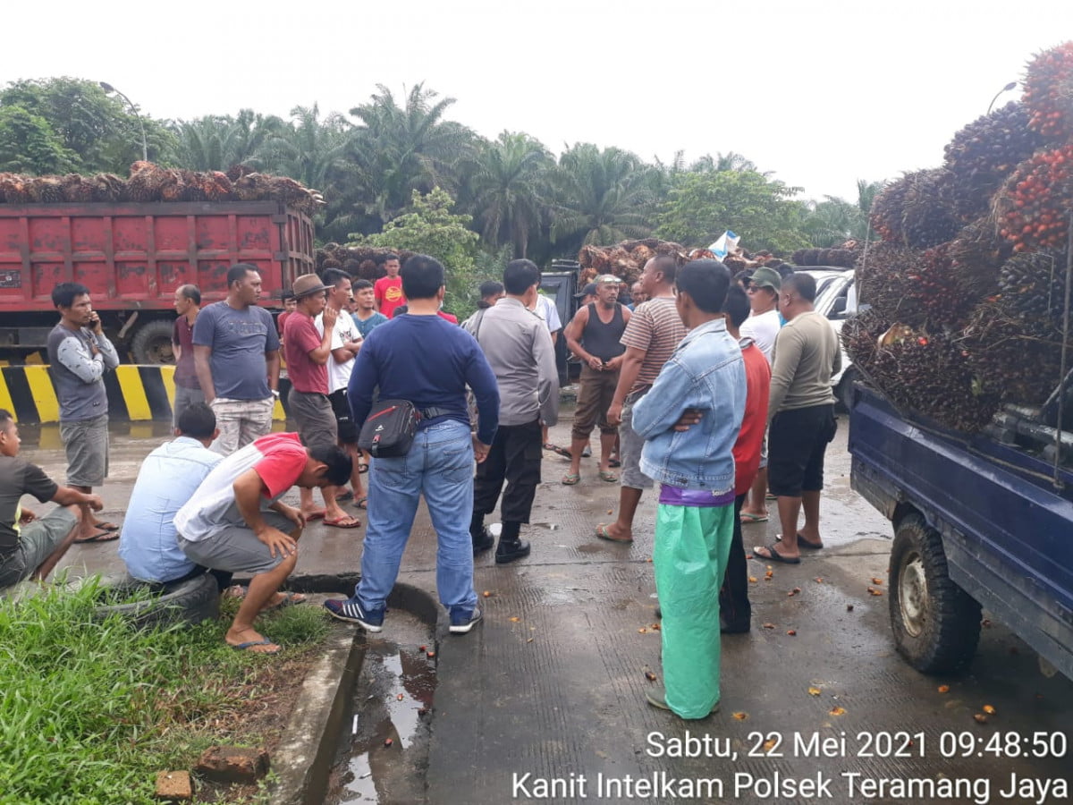 Polsek Teramang Jaya Kawal Unras Supir TBS di PT. KAS 
