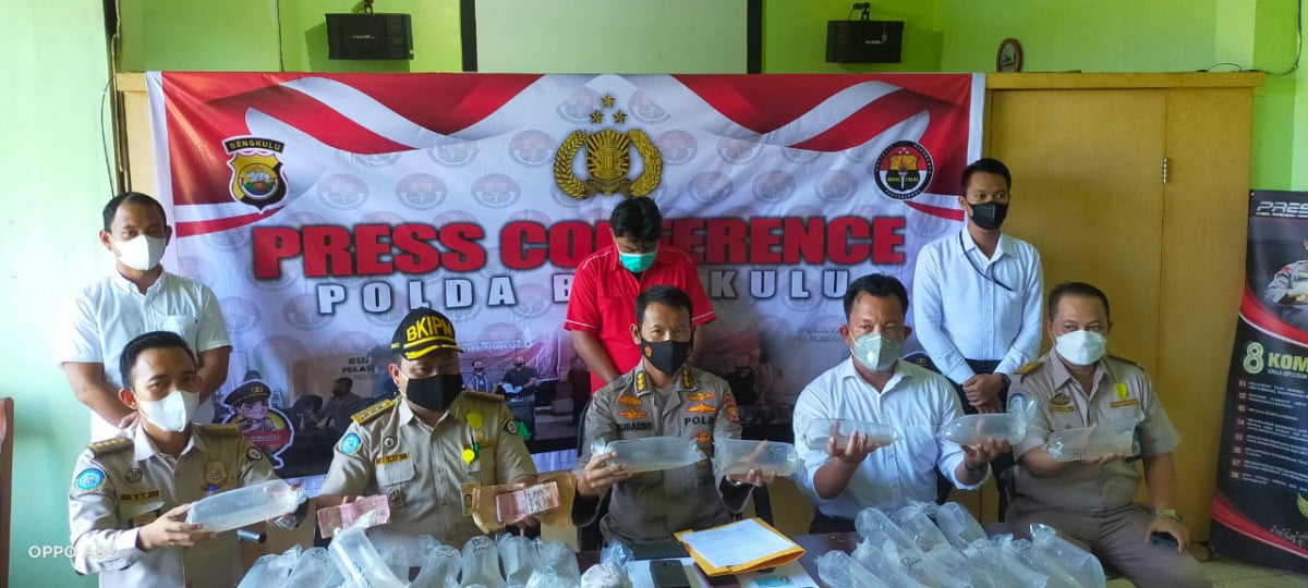 Polda Bengkulu Kejar Para Pemodal Jual Beli Benur