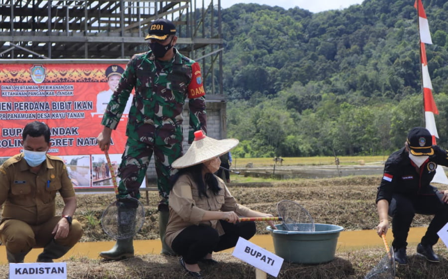 Dampingi Bupati Landak Panen Raya, Dandim 1201: Kami Selalu Dukung Ketahanan Pangan di Masa Pandemi