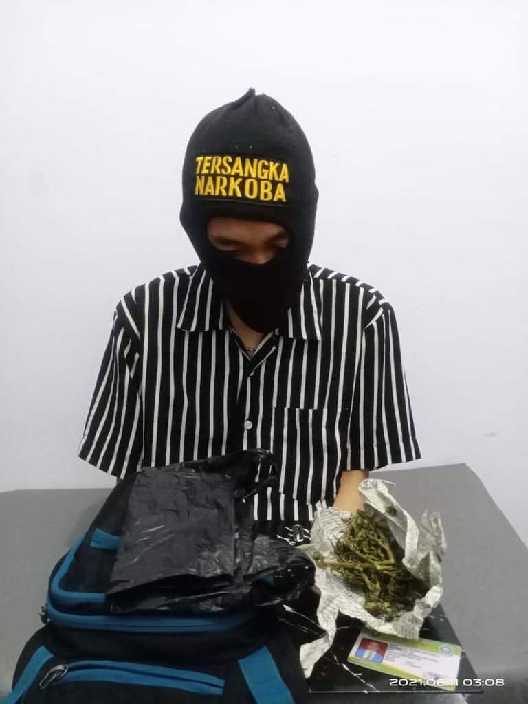 Polres Rejang Lebong Amankan Oknum Pelajar Jadi Kurir Narkoba