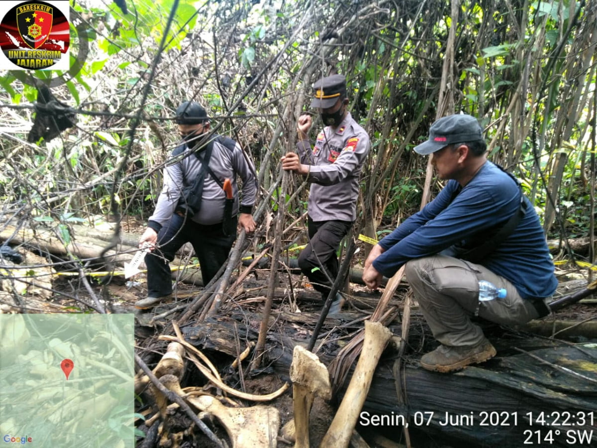 Cek Lokasi Gajah Mati di PT BAT, Tim Gabungan Temukan Sabun Diduga Beracun