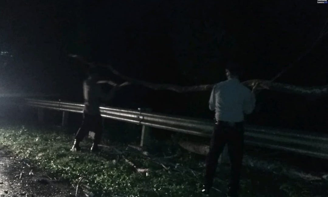 Polisi bersama Warga Evakuasi Pohon Tumbang di Jalinbar Bengkulu-Padang