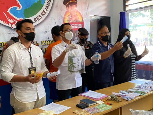 Polres RL Release Ungkap Kasus Ratusan Pohon Ganja dan Puluhan Paket Siap Edar