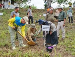 Gubernur Bengkulu Rohidin Tanam Pohon dalam Rangka Mitigasi Perubahan Iklim