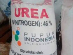 Pemprov Bengkulu Terima 32,917 Ton Bantuan Pupuk Subsidi