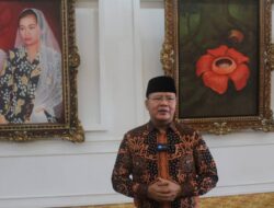 Harga Beras Meroket, Rohidin Ambil Langka cepat