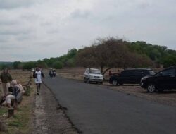 Taman Nasional Baluran Kembali Dibuka