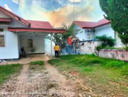 Dinkes Ungkap Cara Efektif Atasi DBD, Lebih Manjur Dari Fogging