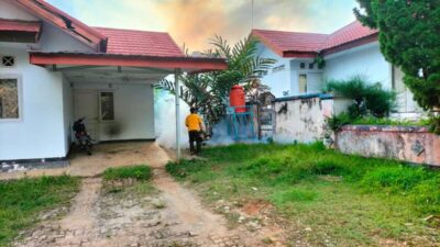 Waspada! Angka Kasus DBD Seluma Sudah Mencapai 327