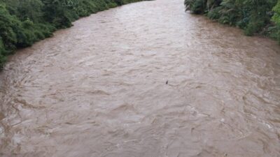 Duguak Termasuk Makhluk Gaib atau Mitologi? Berikut Penjelasannya