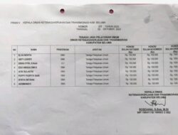 Fakta Baru Terkait Honorer di Seluma, Januari-Juni 2024 Digaji Rp100.000/Bulan