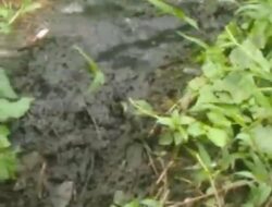 Warga Air Sebakul Diresahkan Aroma Limbah Tinja