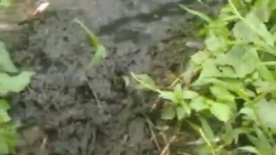 Warga Air Sebakul Diresahkan Aroma Limbah Tinja