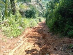 Pembangunan Akses Jalan Lubuk Resam Kembali Diusulkan