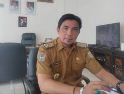 Abrasi Ancam Konservasi Penyu Alun Utara