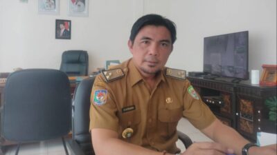 Abrasi Ancam Konservasi Penyu Alun Utara