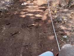 Perbaikan Jalan Desa Pakai Rabat Beton