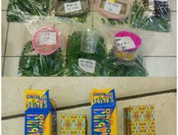 Usai Diamankan, 10 Pelaku Perjudian Dikenakan Wajib Lapor