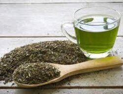Teh Hijau: Minuman Ajaib yang Mendukung Kesehatan Tubuh Anda