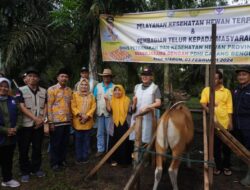 Riak Siabun Lumbung Pengembangan Ternak Provinsi Bengkulu