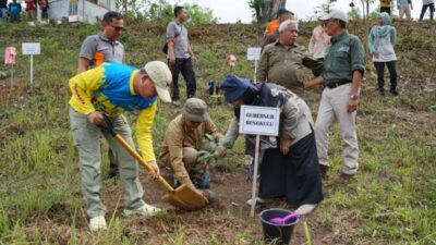 Rohidin Ajak Masyarakat Lakukan Rehabilitasi Hutan