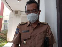 Ketersediaan Daging di Bengkulu Terjamin Hingga Idul Fitri