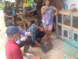 Ayo! Vaksin Hewan Peliharaan, Biaya Gratis