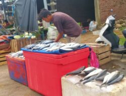 Cuaca Buruk Picu Kenaikan Harga Ikan Laut
