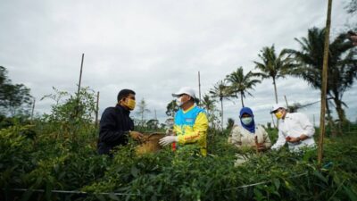 Gustiadi Dorong Peran Petani dalam Pembangunan Bengkulu