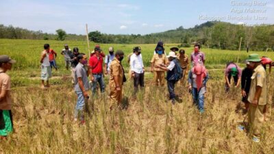 Gustiadi Dorong Penyuluhan Pertanian untuk Sistem Pemasaran yang Adil