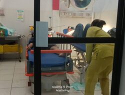 Pemudik dari Jakarta Alami Lakalantas di Seluma