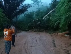 Jalur Lintas Rejang Lebong – Lebong Kembali Lumpuh, Pemprov Kembali Turunkan Alat Berat