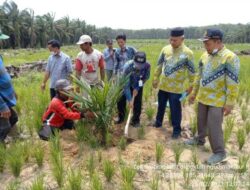 Anggota DPRD Mukomuko Minta Perlindungan Petani dan Penumbuhan Petani Milenial
