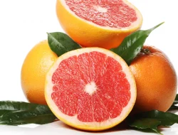 Buah-Buahan yang Dapat Menguatkan Sistem Imun