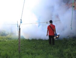 Berbahaya! Dinas Kesehatan Kota Bengkulu Tak Sarankan Fogging