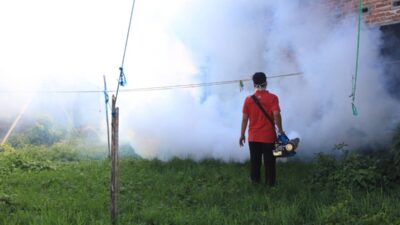 Berbahaya! Dinas Kesehatan Kota Bengkulu Tak Sarankan Fogging