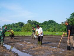 Pemprov Bengkulu Masih Perlu Mengkaji Kelayakan Lahan Sawah di Enggano
