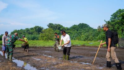 Pemprov Bengkulu Masih Perlu Mengkaji Kelayakan Lahan Sawah di Enggano