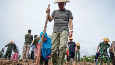 Dengan Tanam Padi Gogo, Warga Enggano Tak Perlu Lagi Beli Beras di Luar Pulau