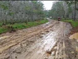 Pemkab Seluma Batalkan Perbaikan Jalan Menuju Desa Taba Lubuk Puding