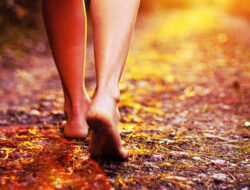 Menurunkan Berat Badan dengan Berjalan Kaki