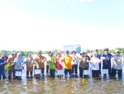 Penghijauan untuk Mitigasi Perubahan Iklim