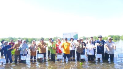 Penghijauan untuk Mitigasi Perubahan Iklim