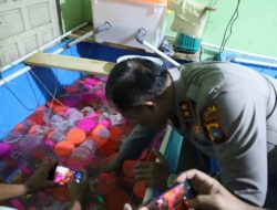 Penggrebekan Rumah Tempat Transit Penyeludupan Benih Lobster