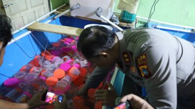 Penggrebekan Rumah Tempat Transit Penyeludupan Benih Lobster
